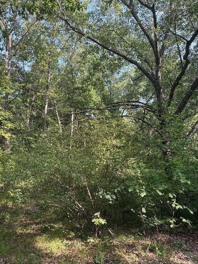 0.42 Acres of Land for Sale in Mecosta, Michigan