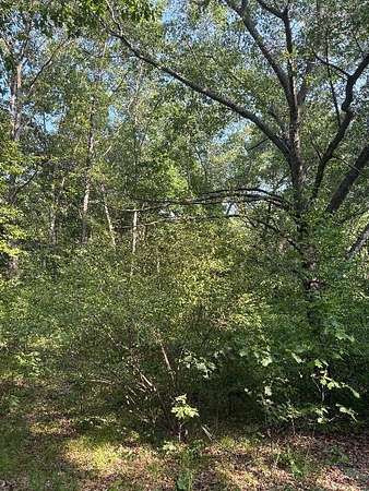 0.42 Acres of Land for Sale in Mecosta, Michigan