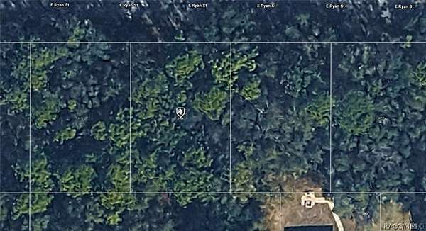 0.22 Acres of Residential Land for Sale in Inverness, Florida