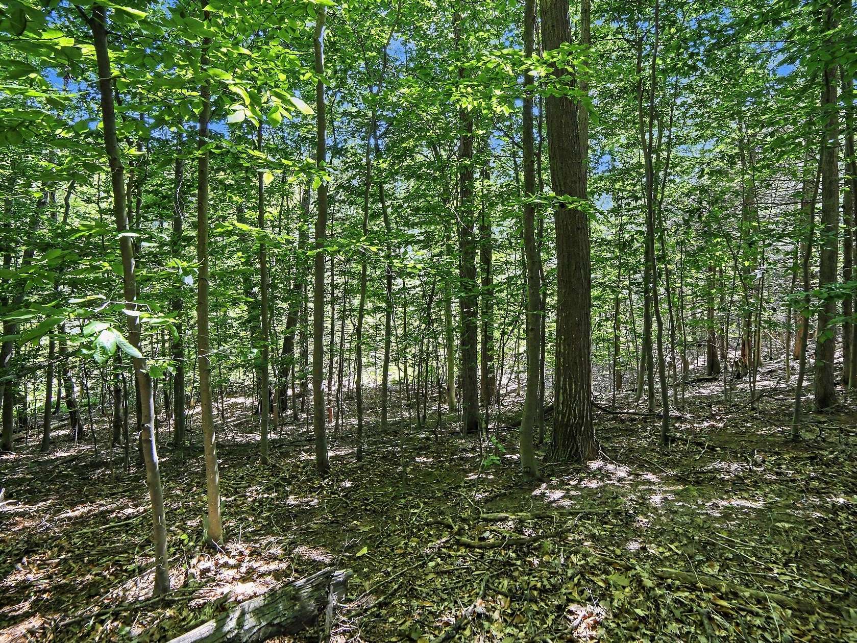 1.7 Acres of Residential Land for Sale in Whitehall, Michigan