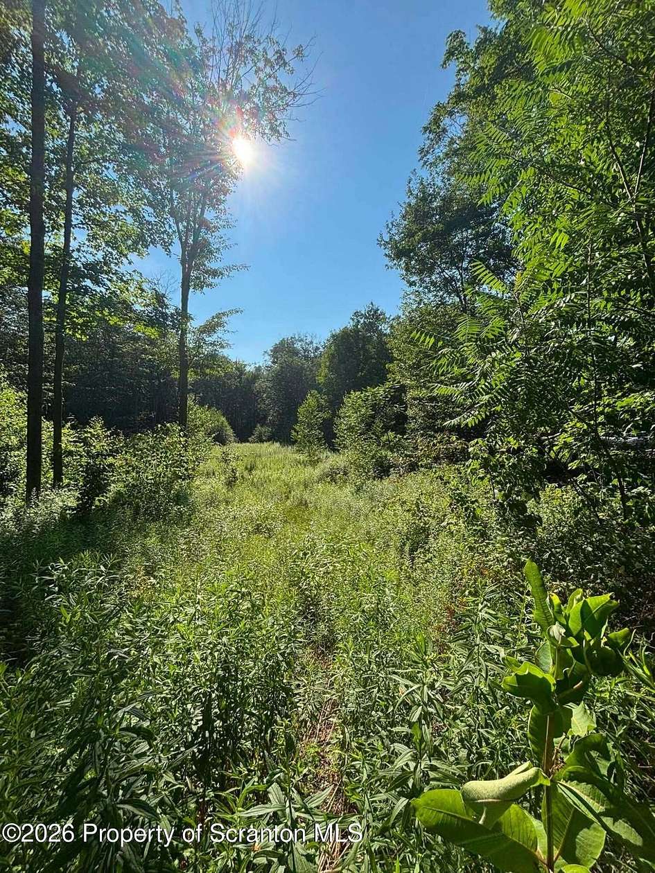 0.99 Acres of Residential Land for Sale in Forest City, Pennsylvania