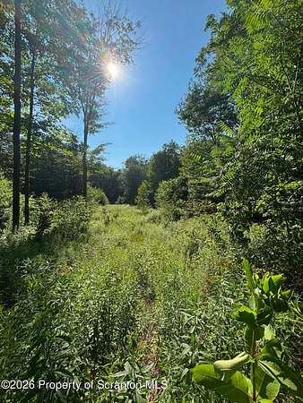 0.99 Acres of Residential Land for Sale in Forest City, Pennsylvania