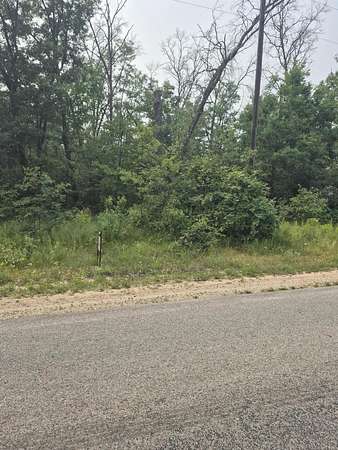 0.44 Acres of Residential Land for Sale in Baldwin, Michigan