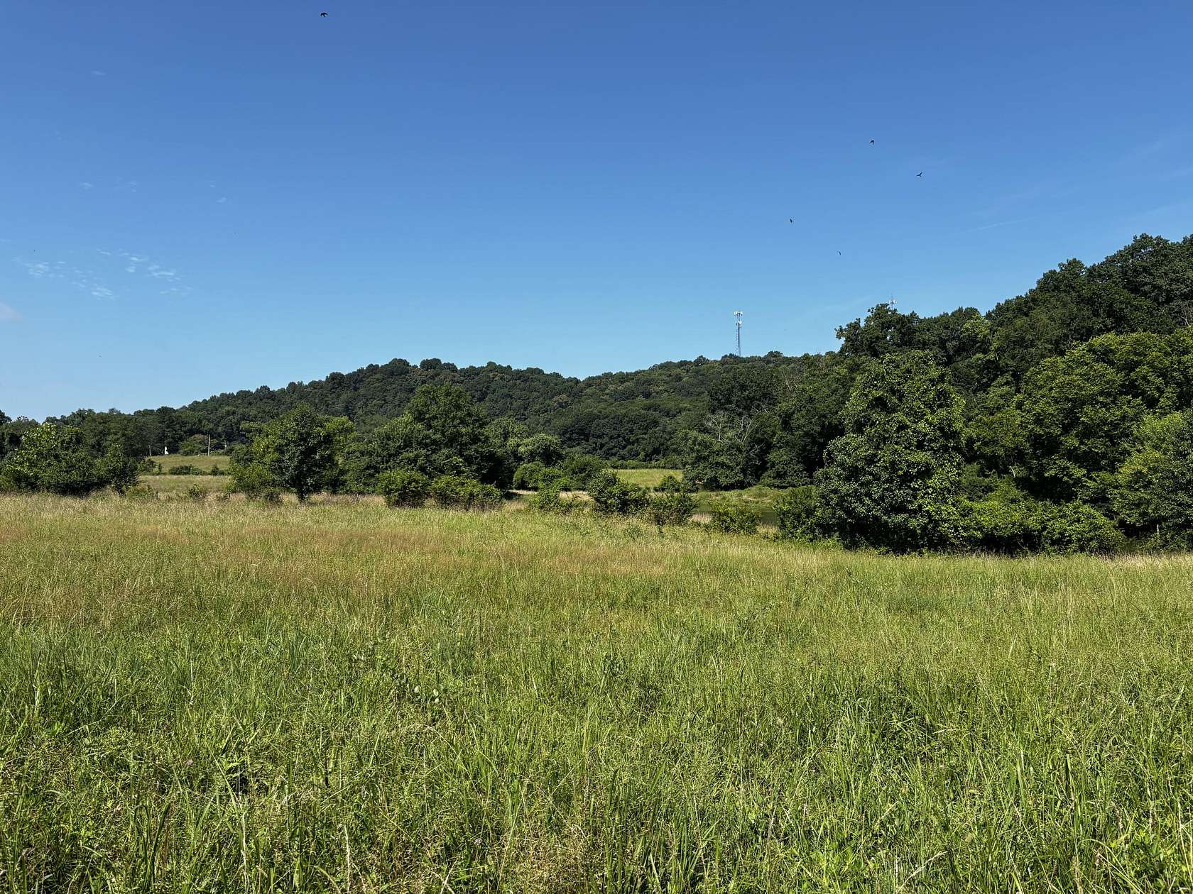 117 Acres of Land for Sale in Frankfort, Kentucky