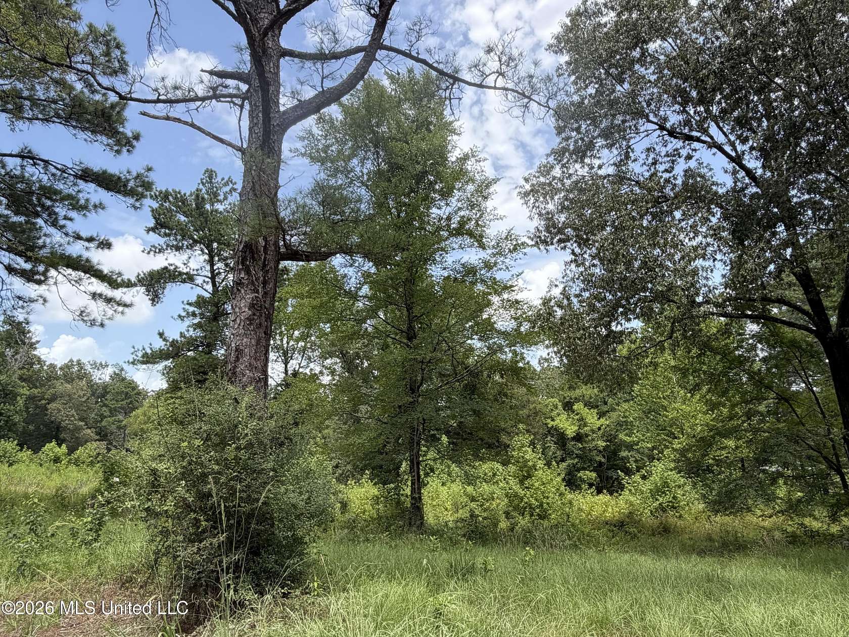 2.6 Acres of Residential Land for Sale in Madison, Mississippi