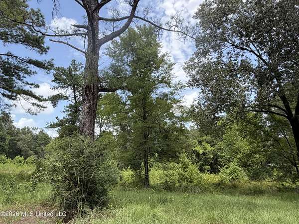 2.6 Acres of Residential Land for Sale in Madison, Mississippi
