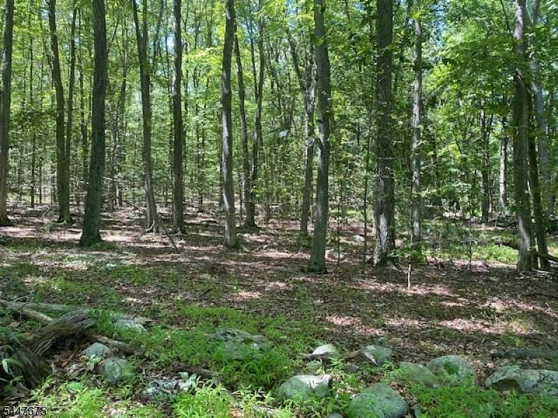 3.77 Acres of Residential Land for Sale in Hardwick Township, New Jersey