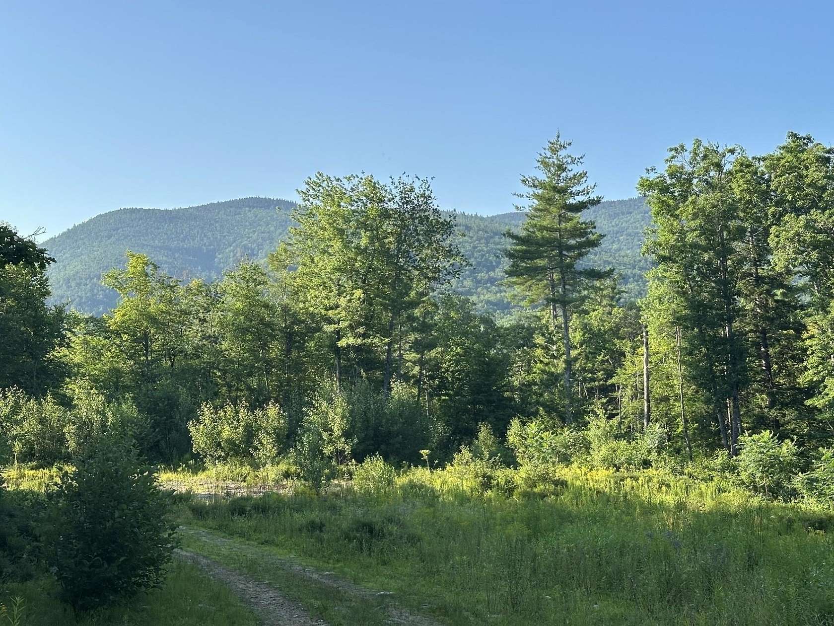 21 Acres of Land for Sale in Tamworth, New Hampshire