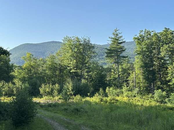 21 Acres of Land for Sale in Tamworth, New Hampshire