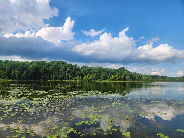 5.5 Acres of Residential Land for Sale in Farwell, Michigan