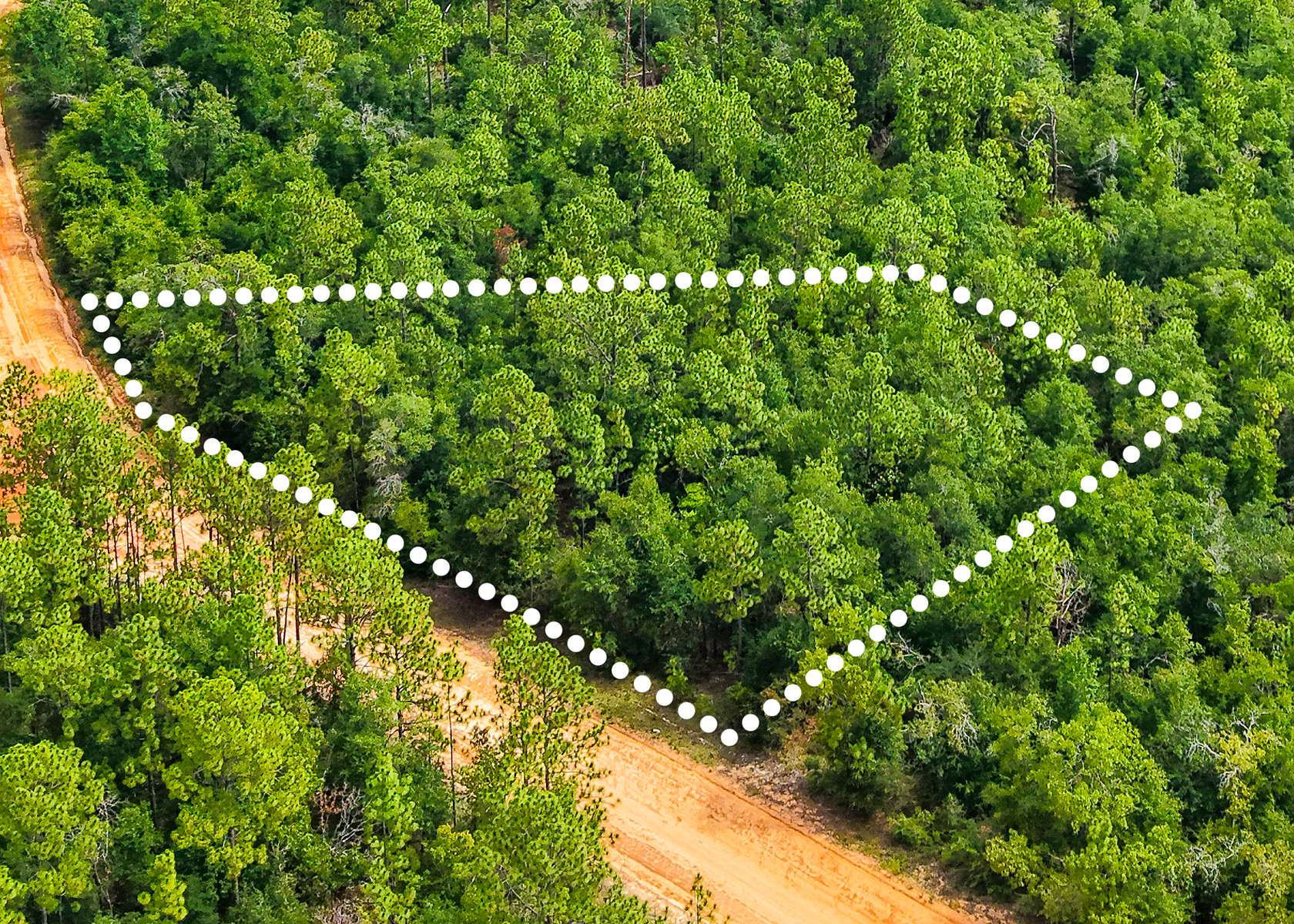 1 Acre of Residential Land for Sale in Alford, Florida