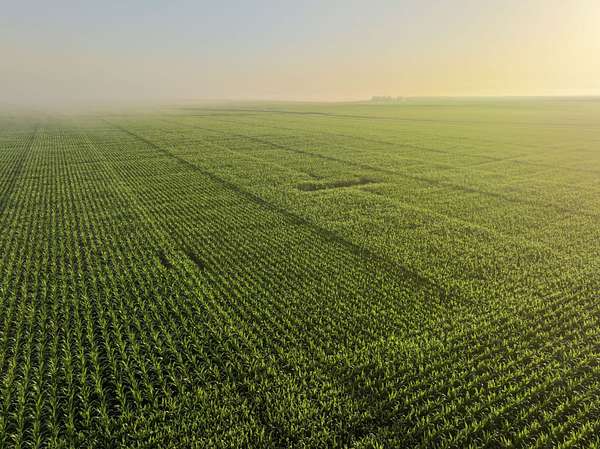 189 Acres of Land for Sale in Bagley, Iowa