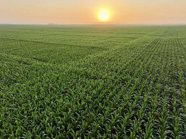 189 Acres of Land for Sale in Bagley, Iowa