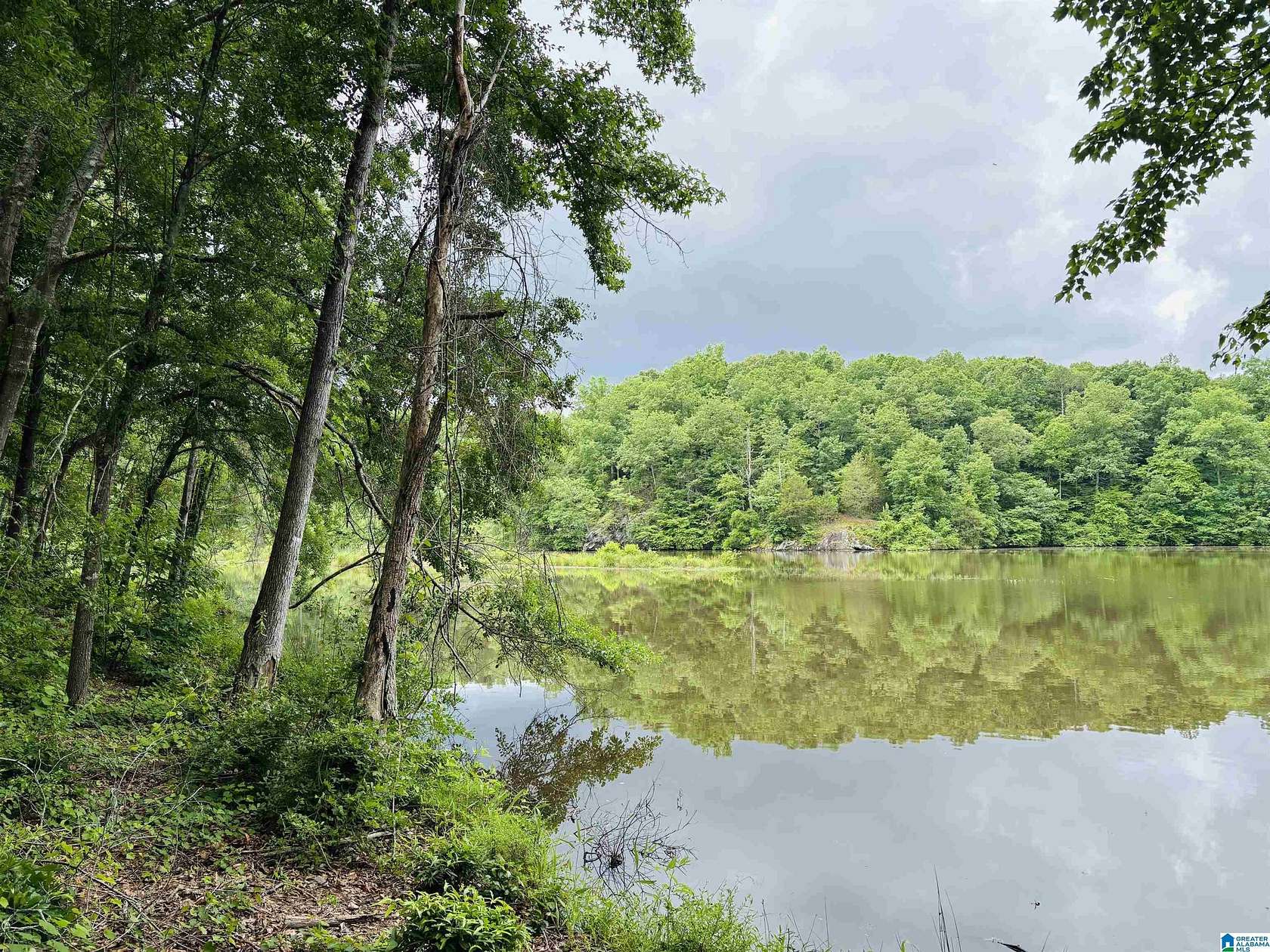 1.16 Acres of Residential Land for Sale in Woodland, Alabama
