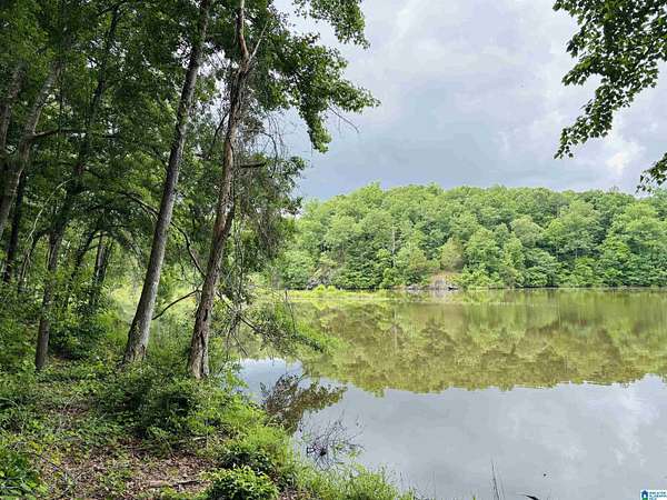 1.16 Acres of Residential Land for Sale in Woodland, Alabama