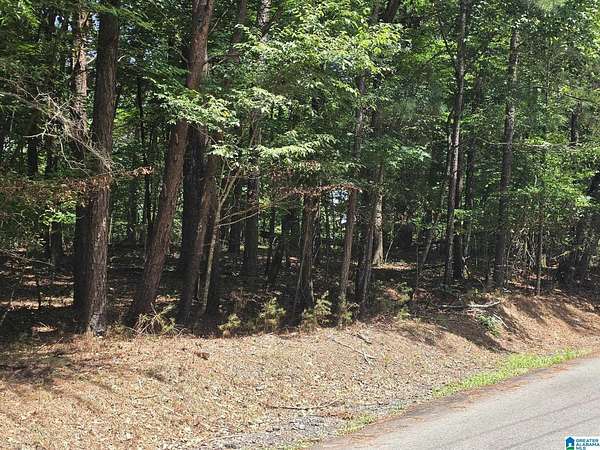 12 Acres of Land for Sale in Bessemer, Alabama