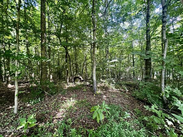 8.27 Acres of Residential Land for Auction in Knoxville, Tennessee