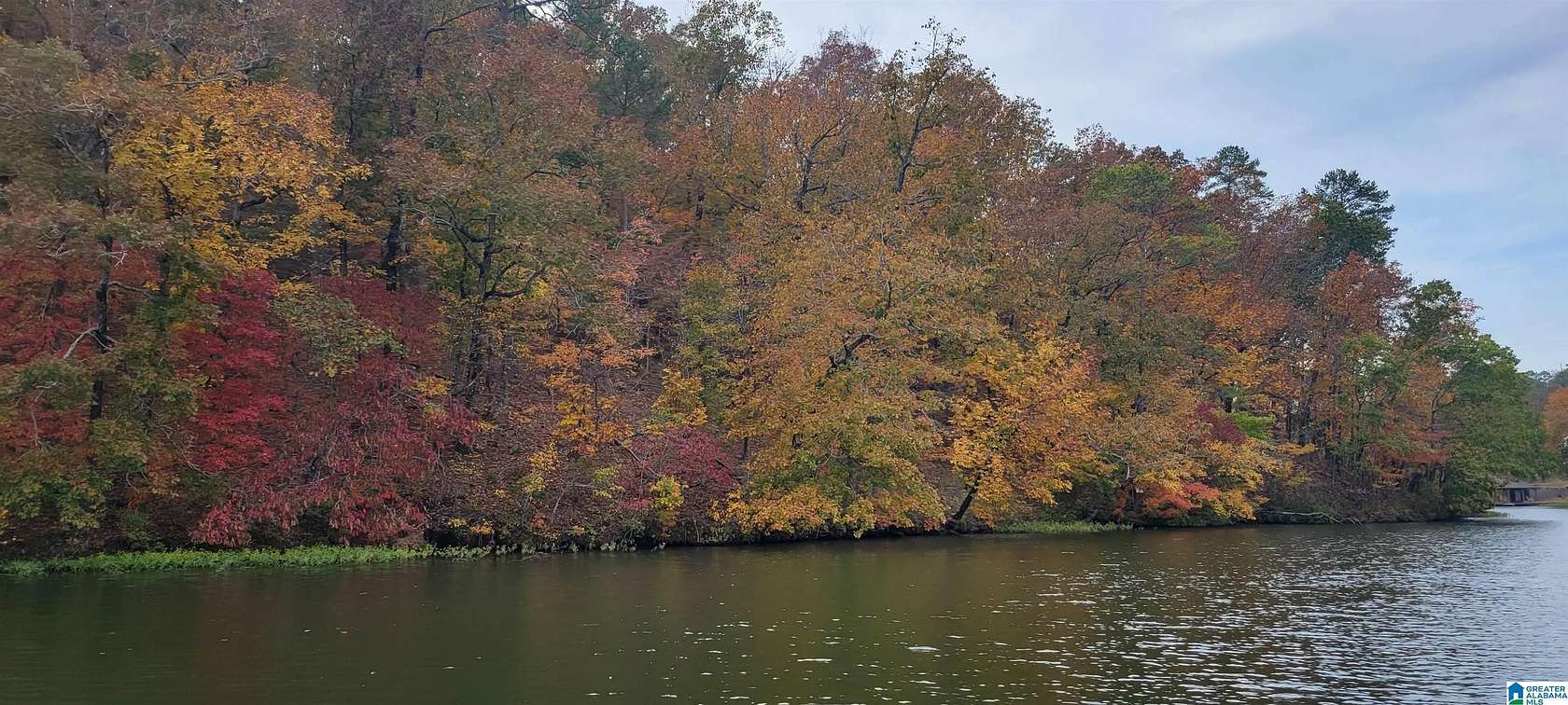 1 Acre of Residential Land for Sale in Rockford, Alabama