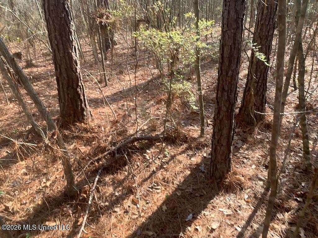 20 Acres of Recreational Land for Sale in Wesson, Mississippi