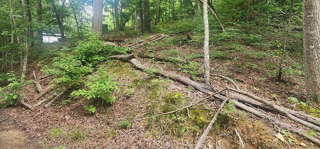 0.51 Acres of Land for Sale in Holladay, Tennessee