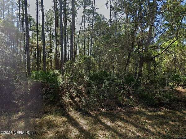 0.23 Acres of Land for Sale in Georgetown, Florida