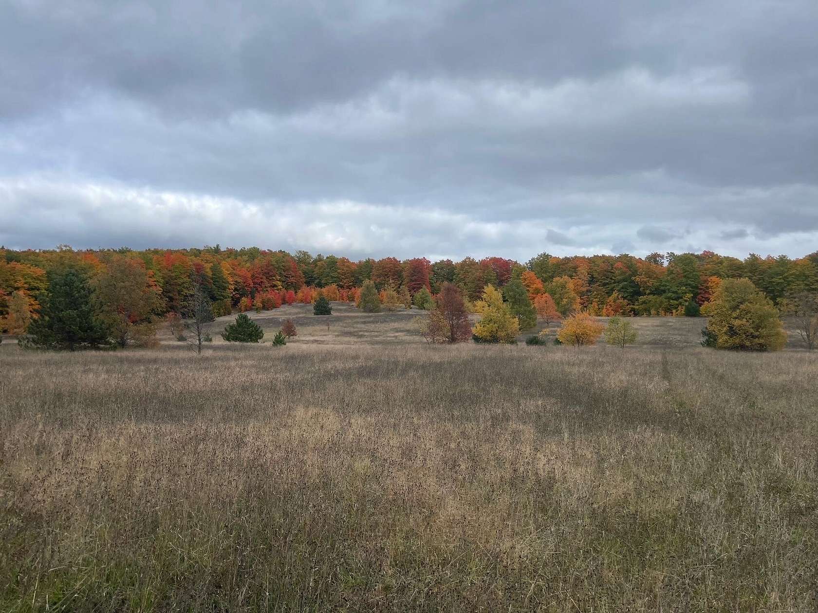 120 Acres of Recreational Land for Sale in Wolverine, Michigan