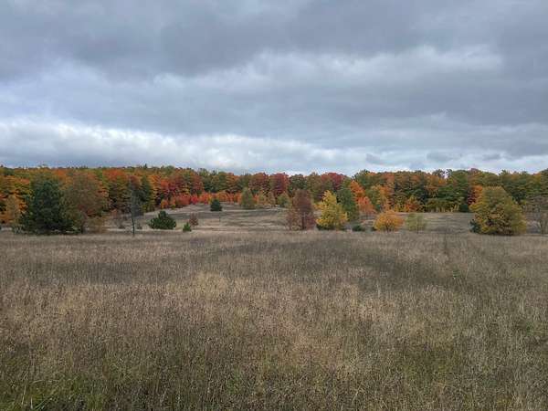 120 Acres of Recreational Land for Sale in Wolverine, Michigan