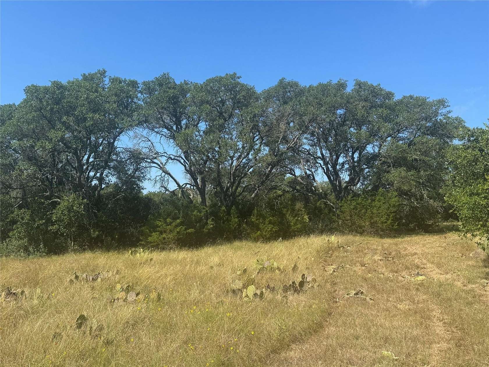 12.4 Acres of Land for Sale in Burnet, Texas