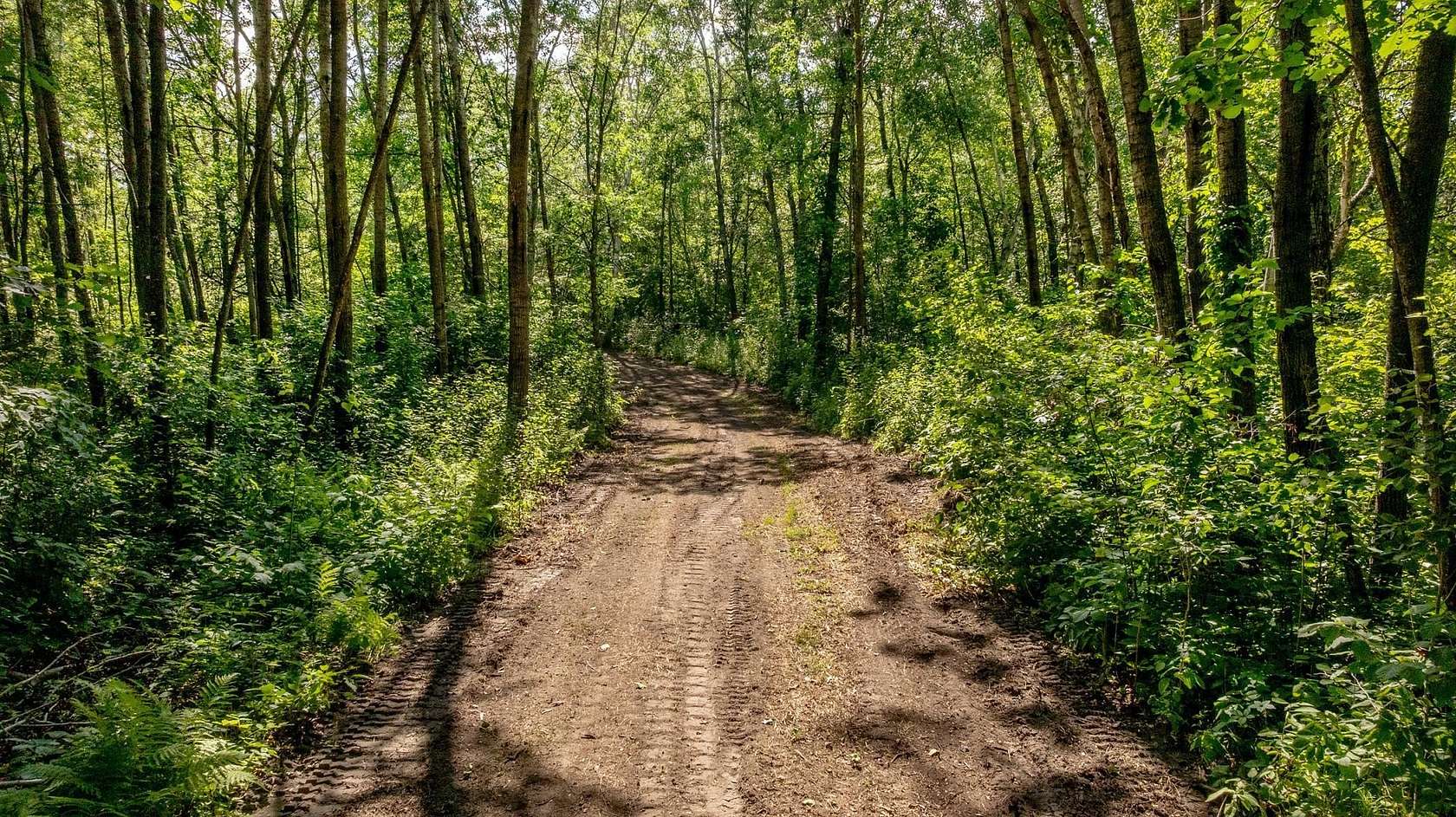 4 Acres of Land for Sale in Bena, Minnesota