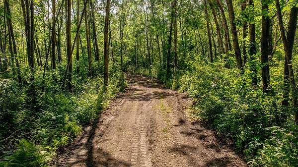4 Acres of Land for Sale in Bena, Minnesota