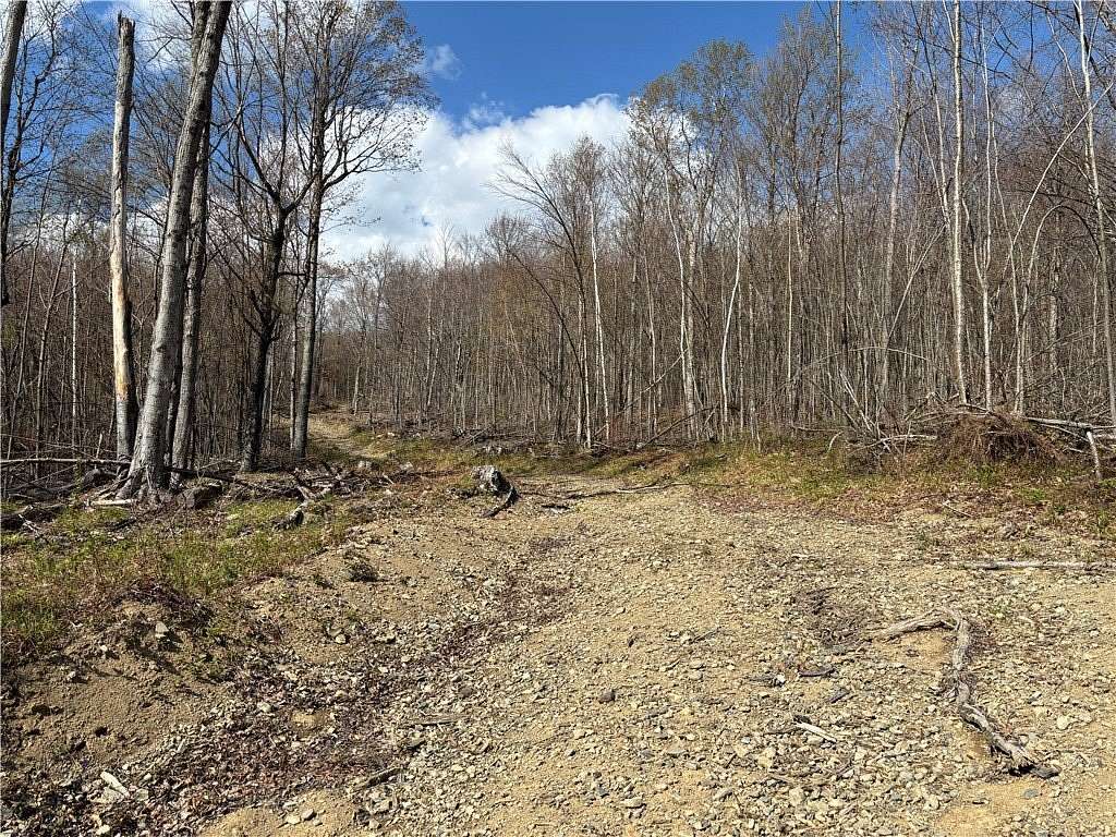 204 Acres of Recreational & Residential Land for Sale in Worcester, New York