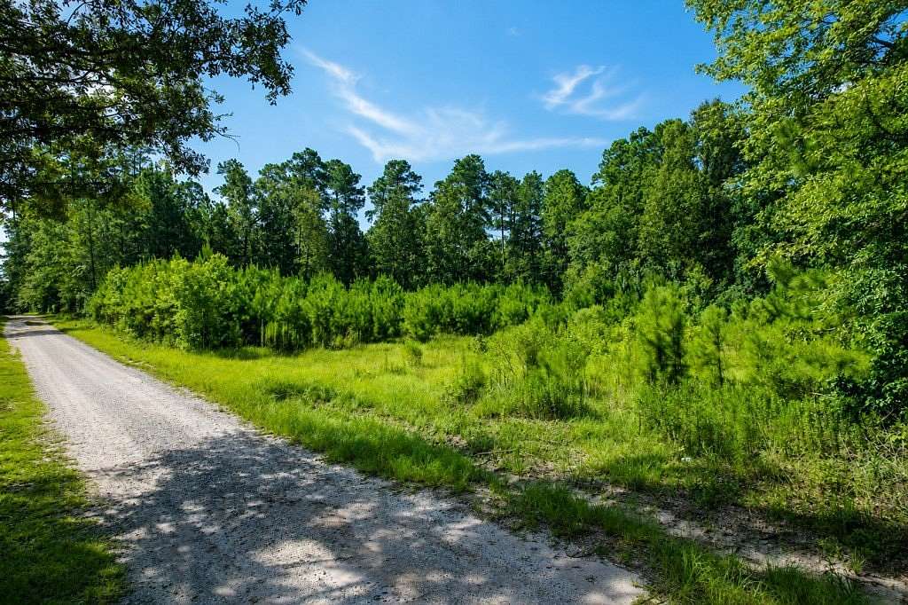 0.96 Acres of Residential Land for Sale in Zavalla, Texas