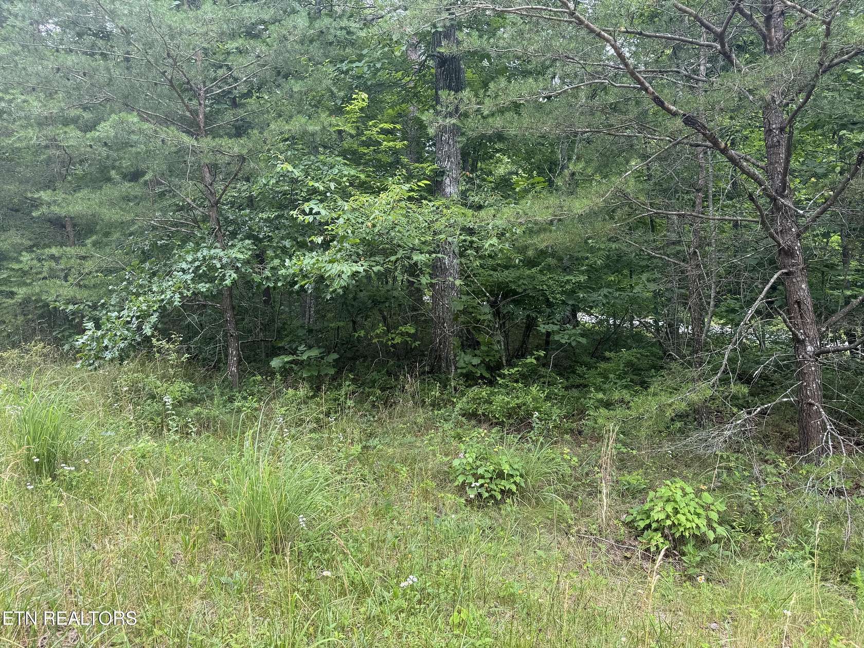 0.4 Acres of Residential Land for Sale in Crossville, Tennessee