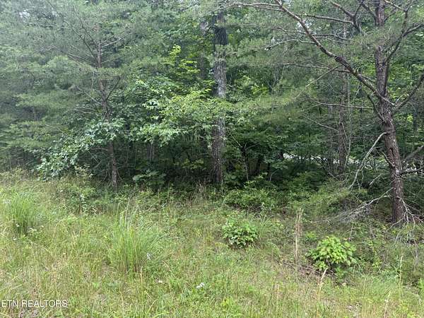 0.4 Acres of Residential Land for Sale in Crossville, Tennessee