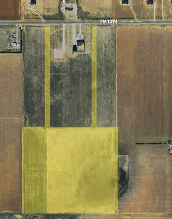 40.1 Acres of Agricultural Land for Sale in Idalou, Texas