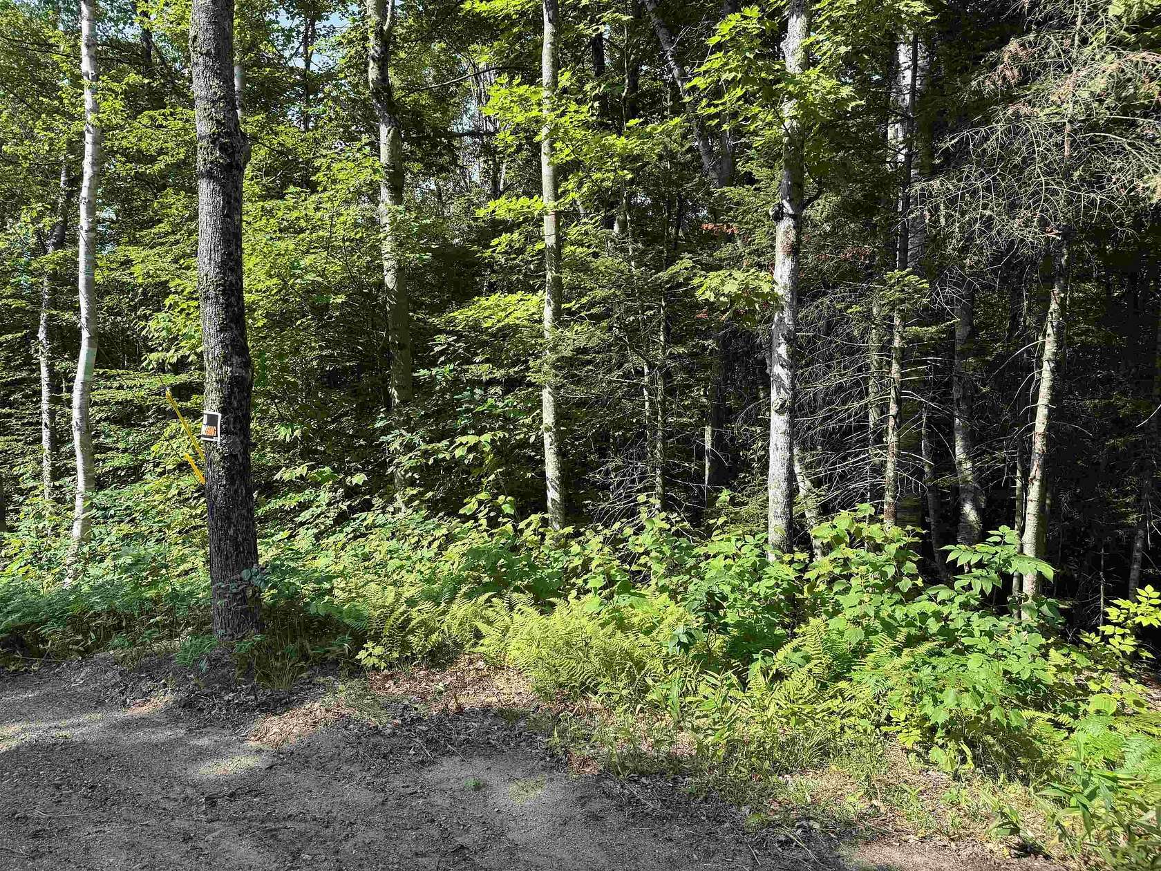 5.3 Acres of Residential Land for Sale in Groton, New Hampshire