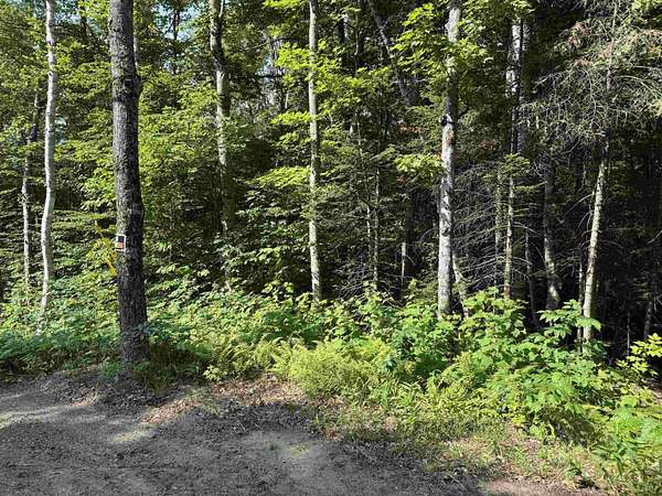 5.3 Acres of Residential Land for Sale in Groton, New Hampshire