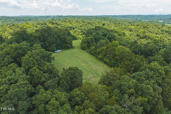 114 Acres of Agricultural Land for Auction in Midway, Tennessee