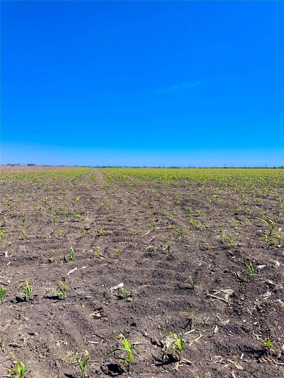 11 Acres of Land for Sale in Coupland, Texas