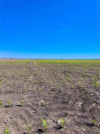 11 Acres of Land for Sale in Coupland, Texas