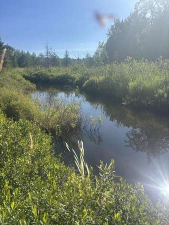 29.9 Acres of Recreational & Residential Land for Sale in Troy, Maine