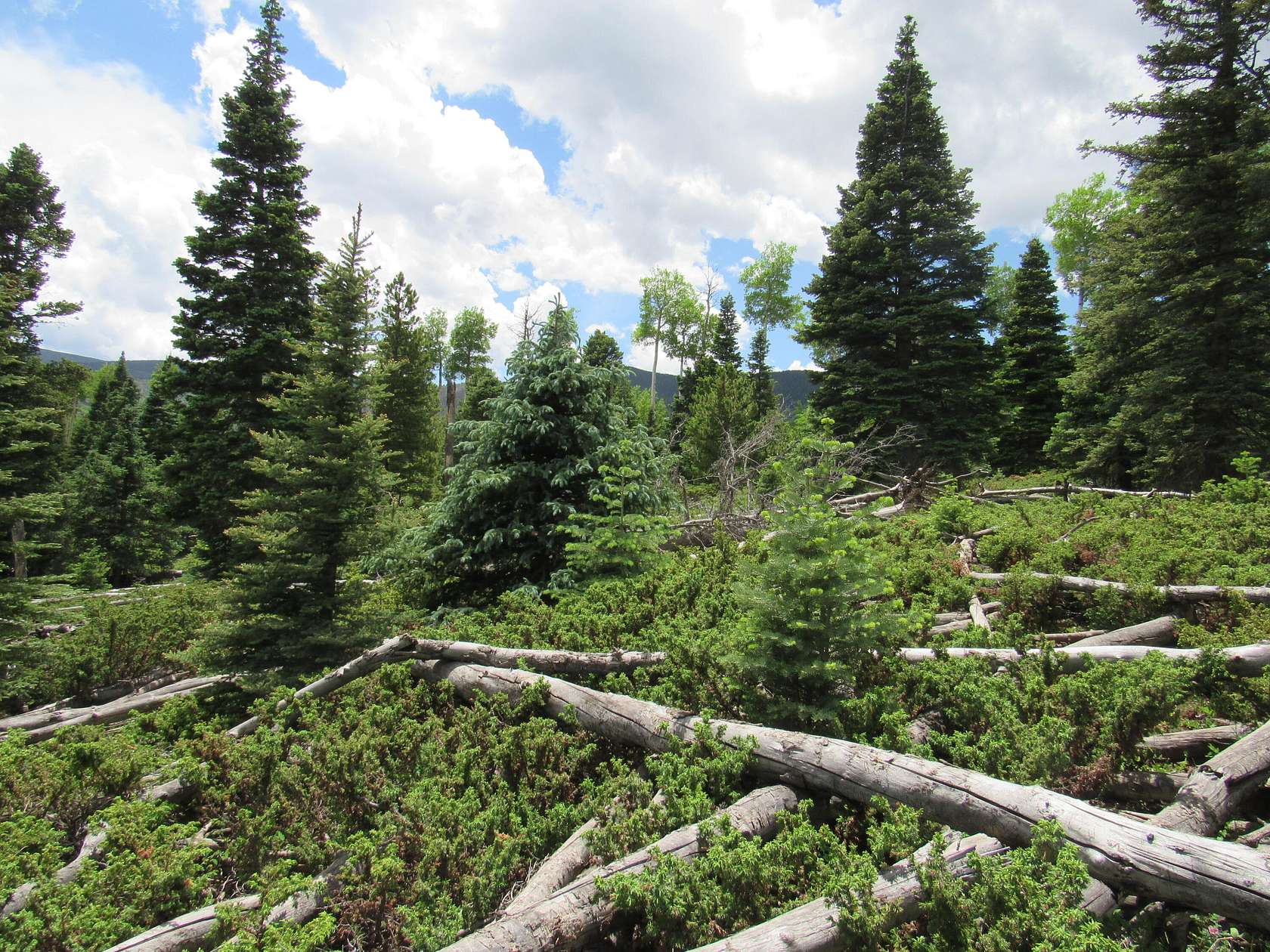 0.3 Acres of Land for Sale in Cuchara, Colorado