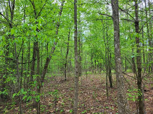 0.63 Acres of Residential Land for Sale in Pikeville, Tennessee