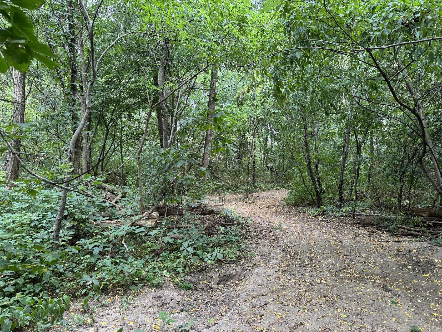 1.82 Acres of Residential Land for Sale in Grand Rapids, Michigan