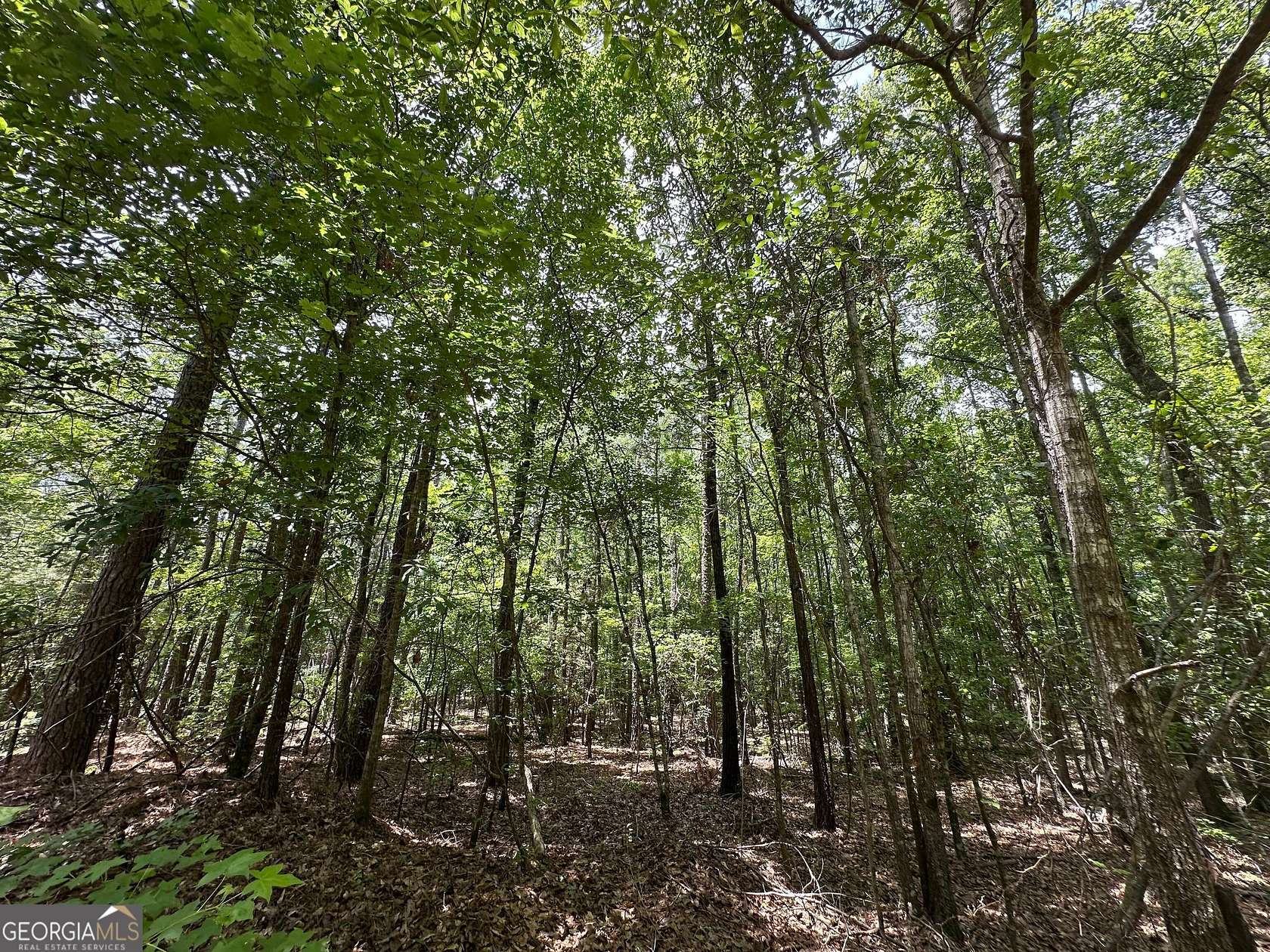 9.82 Acres of Residential Land for Sale in Sparta, Georgia