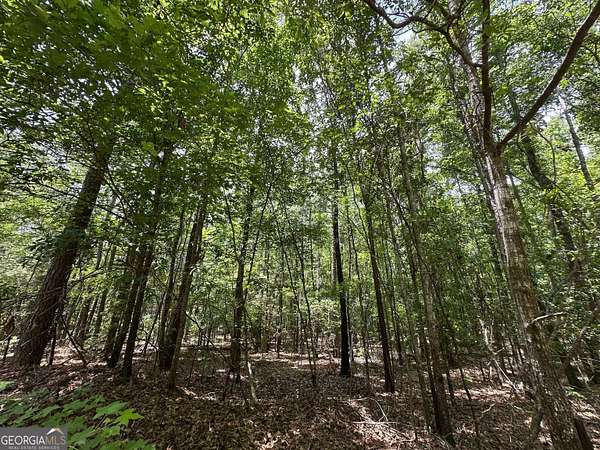9.82 Acres of Residential Land for Sale in Sparta, Georgia
