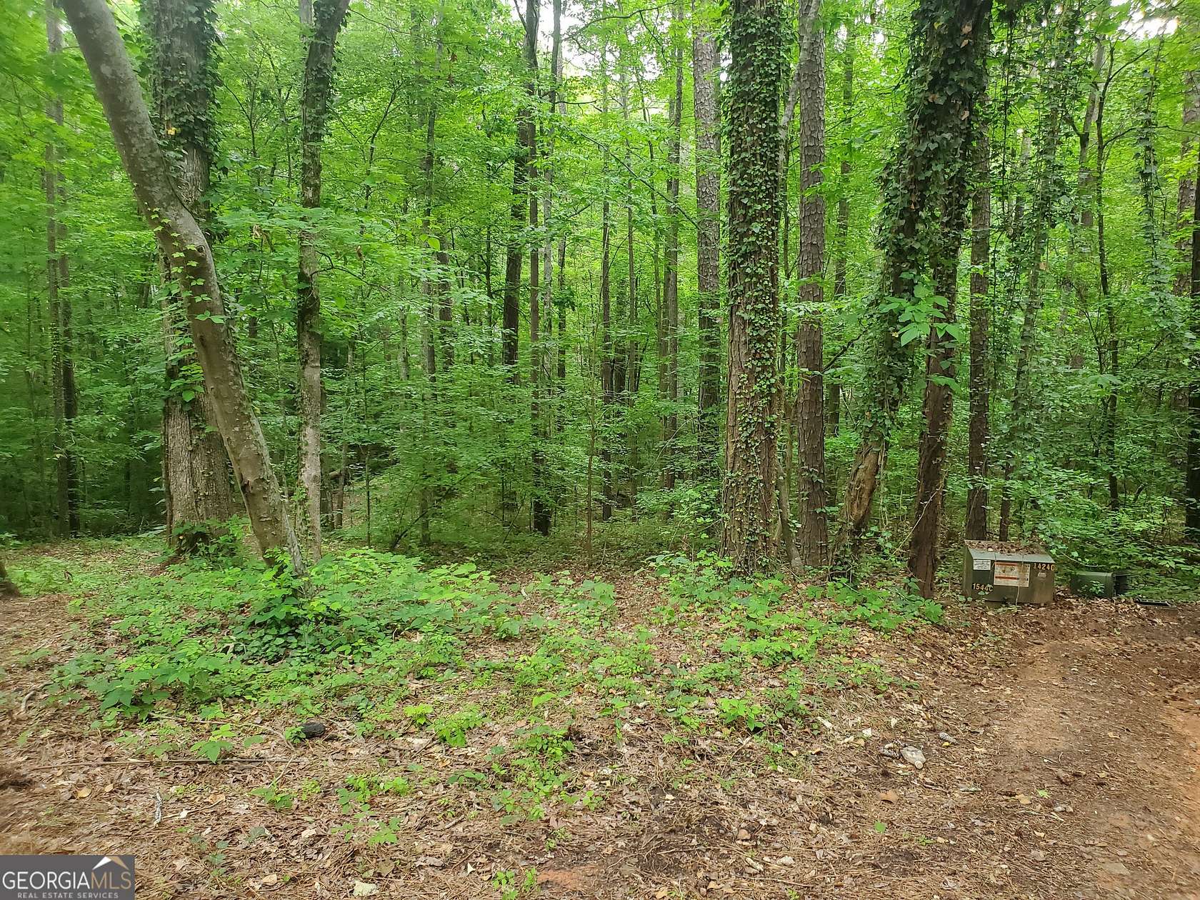 0.43 Acres of Residential Land for Sale in Monticello, Georgia