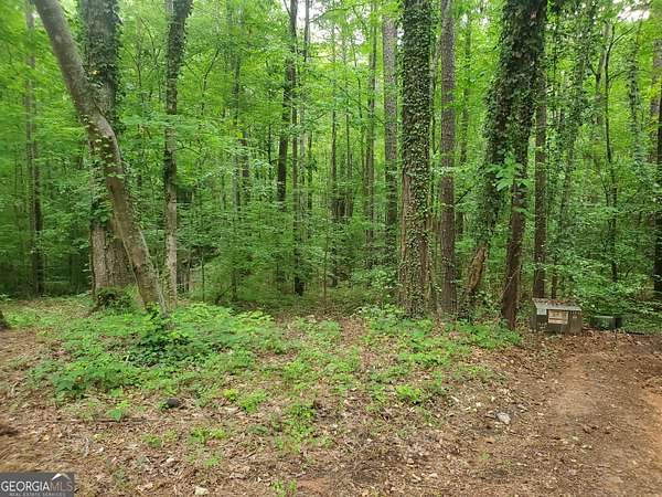0.43 Acres of Residential Land for Sale in Monticello, Georgia
