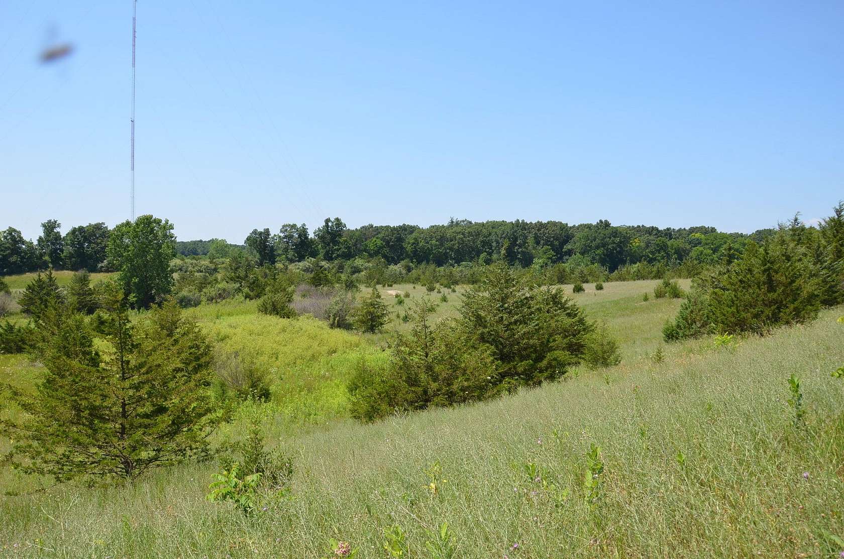 42.7 Acres of Recreational & Residential Land for Sale in Middleville, Michigan