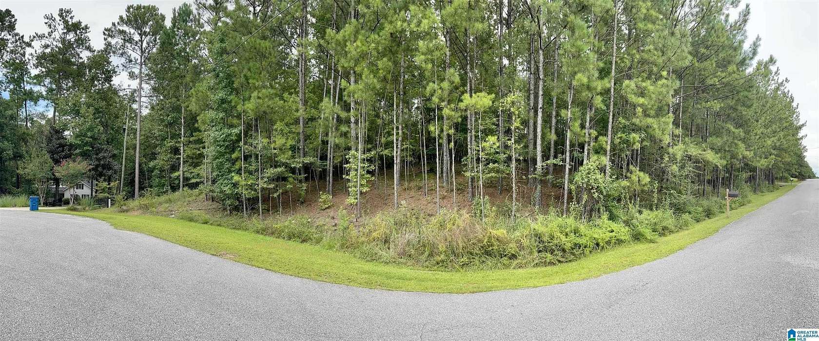 3 Acres of Residential Land for Sale in Chelsea, Alabama
